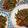 猫のミイヤ's cooksnap of when they made 豚ひき肉とナス、ピーマンの中華風味噌炒め.