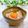 Satoco❋'s cooksnap of when they made イカ納豆.