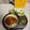 ニッシーマン's cooksnap of when they made 我が家のソースカツ丼.