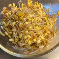 拓斗ここな's cooksnap of when they made 大豆もやしのピリ辛ナムル【作り置き】.