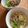 123ママ's cooksnap of when they made 時短簡単手作りうどん♪.