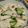 ナカミチ's cooksnap of when they made かぶの簡単浅漬け【作り置き】.