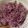 ふぁんころ's cooksnap of when they made 菊のおひたし.