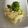 さんすけママ☆'s cooksnap of when they made 新玉ねぎとマカロニの卵サラダ.