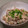 Dellaたん's cooksnap of when they made こんにゃくと舞茸のうま煮.