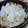 八ヶ岳おろし's cooksnap of when they made ヘルシー！がっつり？大根おろし豚肉白菜鍋.
