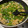 ぱるママ's cooksnap of when they made ほうれん草とあげ玉のとろとろ煮.