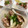 Minon's cooksnap of when they made 簡単美味しい【豚とエシャレットの醤油炒め.