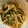 ロミみ's cooksnap of when they made もやしとミンチのカレーしょうゆ炒め.