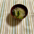yesmama's cooksnap of when they made モヤシと大根とワカメのお味噌汁♡.