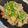 3しまいまま's cooksnap of when they made ホットクック☆もつ煮込み.