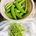 のんべぇヒロ's cooksnap of when they made 簡単！スナップえんどうスジの取り方.