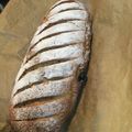 Cookies！'s cooksnap of when they made ドイツ人のお墨付き！ライ麦パン♪.