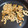 みぃぃちゃん☆'s cooksnap of when they made れんこんの塩炒め.