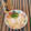 あーこ姐's cooksnap of when they made 簡単★大根おろしご飯.