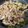 クックRPMPK0☆'s cooksnap of when they made ピーマン豚こま肉のオイスター丼.