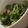MULA's cooksnap of when they made 簡単すぎ☆苦くないピーマンの塩昆布炒め.