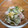 コロすけ's cooksnap of when they made 甘夏とスナップエンドウのマヨサラダ.