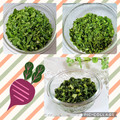 ♪としクック♪'s cooksnap of when they made 大根の葉をレンジでエコ♪飯友★混ぜて菜飯.