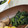 ゆ→ちむ❦180SX's cooksnap of when they made 【幼児食】ほうれん草ののり和え.