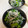 しずのんママ's cooksnap of when they made 小松菜のしらす和え.