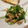 momoppo's cooksnap of when they made 三つ葉の簡単たまごとじ☆.