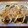 さすらい's cooksnap of when they made 1人分も簡単♪我が家の｢かくたこ｣.