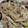 クックY08S17☆'s cooksnap of when they made 結びしらたきとごぼうの煮物.