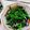 みっちゃん❇️68's cooksnap of when they made 菜の花の塩昆布じゃこ和え.