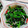 みっちゃん❇️68's cooksnap of when they made 菜の花の塩昆布じゃこ和え.