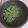 ♬あじさいのレシピ♬'s cooksnap of when they made えんどう豆の塩茹で（2024）.