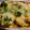 monjimari's cooksnap of when they made かぼちゃとブロッコリーのマヨチーズ焼き.