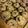 こまちち's cooksnap of when they made しっとりチューイー♪チョコチップクッキー.