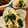 ひっこ's cooksnap of when they made 切り干し大根とほうれん草のお浸し♪副菜.