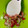 mantacarp's cooksnap of when they made 簡単3秒！カニカマほぐし！.