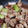 ちぃちぃぱっぱ★'s cooksnap of when they made 簡単！鶏肉とネギの酒蒸し.