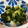 かも親子's cooksnap of when they made 1ボウルで簡単！きゅうりとわかめの酢の物.