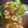 芋姉妹娘's cooksnap of when they made 青梗菜の中華風餡掛けしょうゆラーメン.