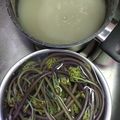 ペコッチ's cooksnap of when they made 短時間でわらびあく抜き.