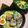 もじさん's cooksnap of when they made 簡単！鶏モモ肉のチャーシューと漬け玉子.