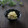まろんかふぇ's cooksnap of when they made ご飯が進む＊キャベツとしらすの炒めもの＊.
