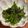 nicoNether's cooksnap of when they made レンジで簡単！ピーマンの塩昆布ナムル.