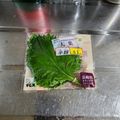 ebipeco's cooksnap of when they made *ズボラだけど1か月もつ♪大葉の保存*.