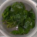 yama_miu's cooksnap of when they made 【簡単レンチン】小松菜（ほうれん草）お浸.