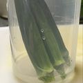 ★なみ☆'s cooksnap of when they made オクラの保存.
