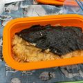 カメメロンぱん's cooksnap of when they made 筍ご飯.