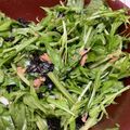 キュキュットさん's cooksnap of when they made ＊水菜とツナのチョレギサラダ＊。.