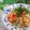 クックHG9V8Y☆'s cooksnap of when they made 簡単アレンジ！さっぱり素麺☆.