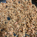 RED☆boots's cooksnap of when they made ツナとかつお節で自家製ソフトふりかけ.