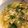 クックCGGGTJ☆'s cooksnap of when they made 咳に効く！大根おろしスープ＊.